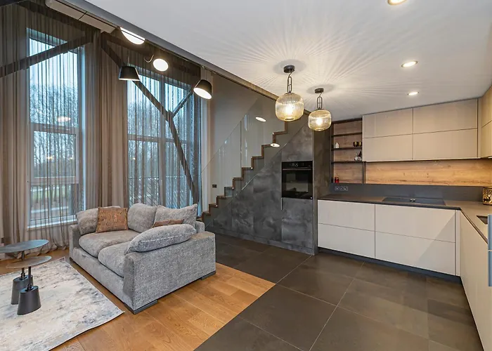 Parko Namai-loftas * Kaunas